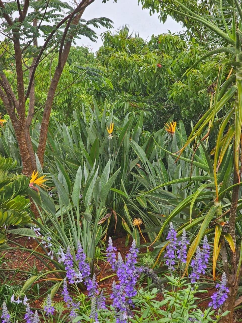 Tzaneen White House Lodge Buitenkant foto